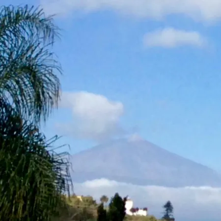 Con Vista *